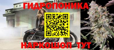 гидра Гусь-Хрустальный