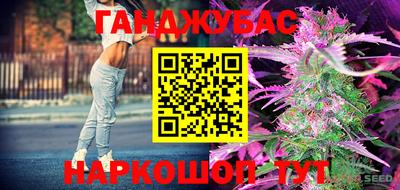 гидра Гусь-Хрустальный