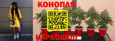 марки nbome Гусев