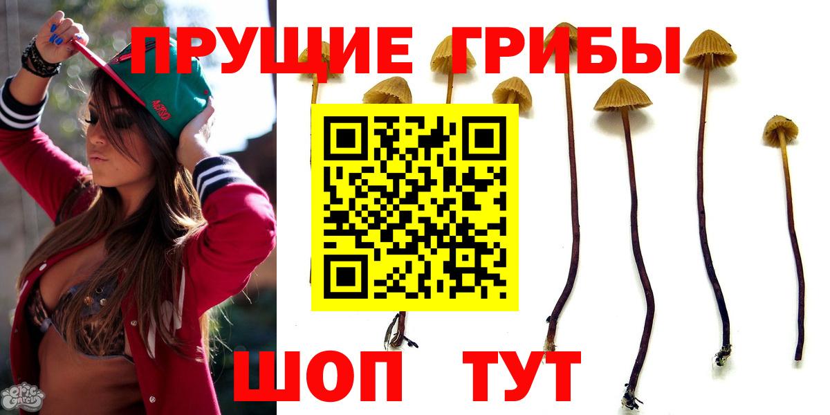 Галлюциногенные грибы Psilocybe  Вход с VPN  Острогожск 